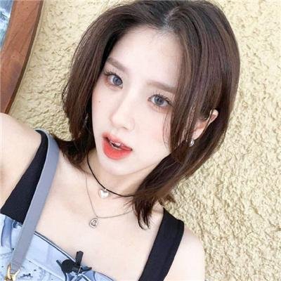 与螂共舞